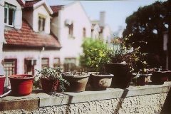 好听洋气软件公司名字大全 洋气时尚软件公司起名