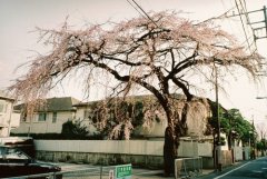 高端时尚电器公司名字大全 时尚大气电器公司起名