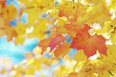 霸气好听房产中介公司名字大全 好听吉祥房产中介公司起名