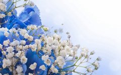 2017姓羿的男孩名字大全 属鸡羿姓男宝宝起名