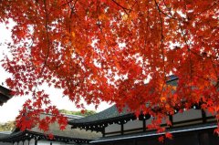 简单好听纸制品公司名字大全 好听洋气纸制品公司起名