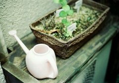 2017姓仇的男孩名字大全 属鸡仇姓男宝宝起名