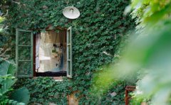 2017姓党的男孩名字大全 属鸡党姓男宝宝起名