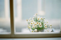 大气独特餐饮公司名字大全