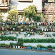 2017姓尉迟的男孩名字大全 属鸡尉迟姓男宝宝起名