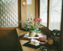 2017姓皇甫的男孩名字大全 属鸡皇甫姓男宝宝起名