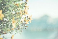 2017姓太叔的男孩名字大全 属鸡太叔姓男宝宝起名