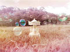 2017姓呼延的男孩名字大全 属鸡呼延姓男宝宝起名