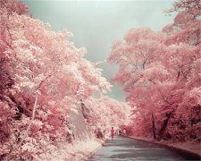 姓周男孩三个字名字大全 周姓3个字男宝宝起名