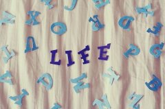 婚纱礼服公司名字高端上档次