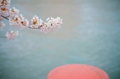 吉祥寓意好的废气处理公司名字