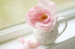 姓白男孩三个字名字大全 白姓3个字男宝宝起名