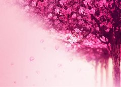 两个字的装修公司名字大全