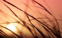 餐饮公司简单好记的名字