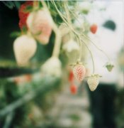 姓姓男孩三个字名字大全 姓姓3个字男宝宝起名