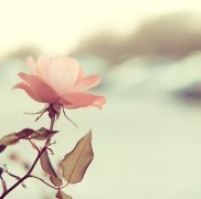 姓敖男孩三个字名字大全 敖姓3个字男宝宝起名