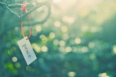 姓相男孩三个字名字大全 相姓3个字男宝宝起名