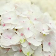 姓公羊男孩三个字名字大全 公羊姓3个字男宝宝起名