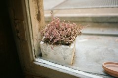 姓计男孩三个字名字大全 计姓3个字男宝宝起名