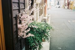 姓明男孩三个字名字大全 明姓3个字男宝宝起名