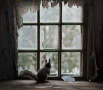 姓皇甫男孩三个字名字大全 皇甫姓3个字男宝宝起名