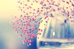 姓申屠男孩三个字名字大全 申屠姓3个字男宝宝起名