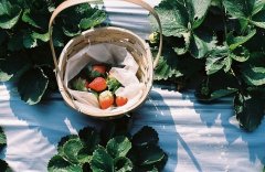 姓经男孩三个字名字大全 经姓3个字男宝宝起名