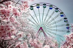 姓闾丘男孩三个字名字大全 闾丘姓3个字男宝宝起名