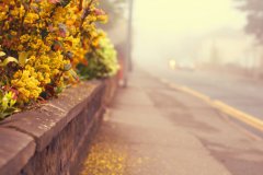 姓公西男孩三个字名字大全 公西姓3个字男宝宝起名