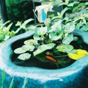 姓漆雕男孩三个字名字大全 漆雕姓3个字男宝宝起名