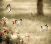 姓南宫男孩三个字名字大全 南宫姓3个字男宝宝起名