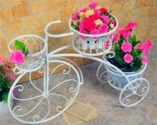 高端大气的策划公司名字