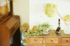 姓沈男孩两个字名字大全 沈姓2个字男宝宝起名