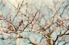 姓章男孩两个字名字大全 章姓2个字男宝宝起名