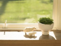 动画公司创意好听的名字