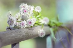 绿色环保公司创意的名字