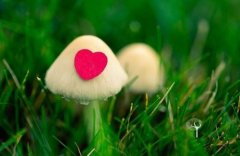 游戏公司个性响亮的名字