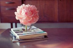 家教机构创意好听的名字