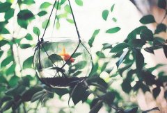 姓包男孩两个字名字大全 包姓2个字男宝宝起名