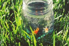 姓洪男孩两个字名字大全 洪姓2个字男宝宝起名