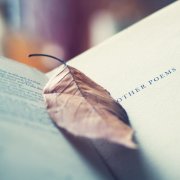 姓钭男孩两个字名字大全 钭姓2个字男宝宝起名