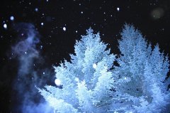 姓申男孩两个字名字大全 申姓2个字男宝宝起名