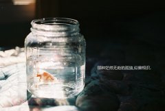 姓姚男孩两个字名字大全 姚姓2个字男宝宝起名