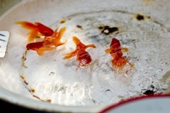 姓闻人男孩四个字名字大全 闻人姓4个字男宝宝起名