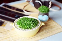 姓司空男孩四个字名字大全 司空姓4个字男宝宝起名