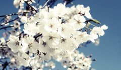 简单大方的环保公司取名