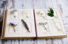 姓南宫男孩四个字名字大全 南宫姓4个字男宝宝起名