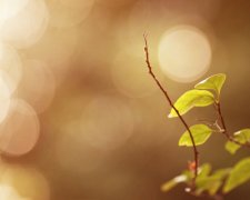 姓欧阳男孩四个字名字大全 欧阳姓4个字男宝宝起名