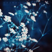 金属公司取名霸气聚财