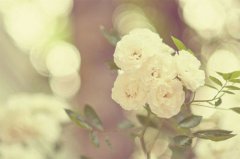 姓端木男孩四个字名字大全 端木姓4个字男宝宝起名